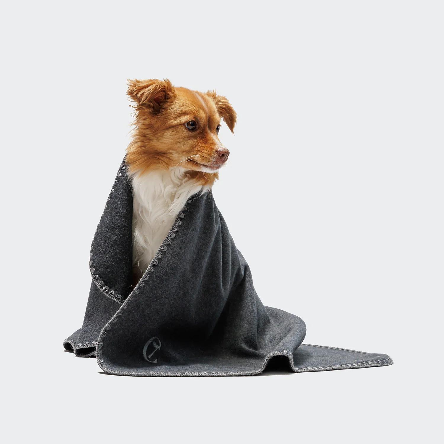 Hundedecke Soft Fleece Dark Grey - Image 3