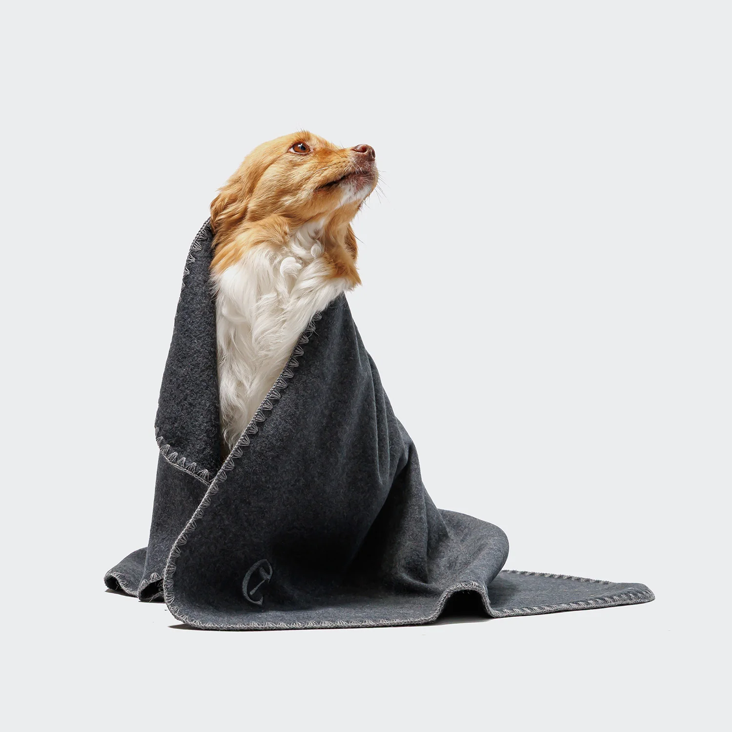 Hundedecke Soft Fleece Dark Grey - Image 5