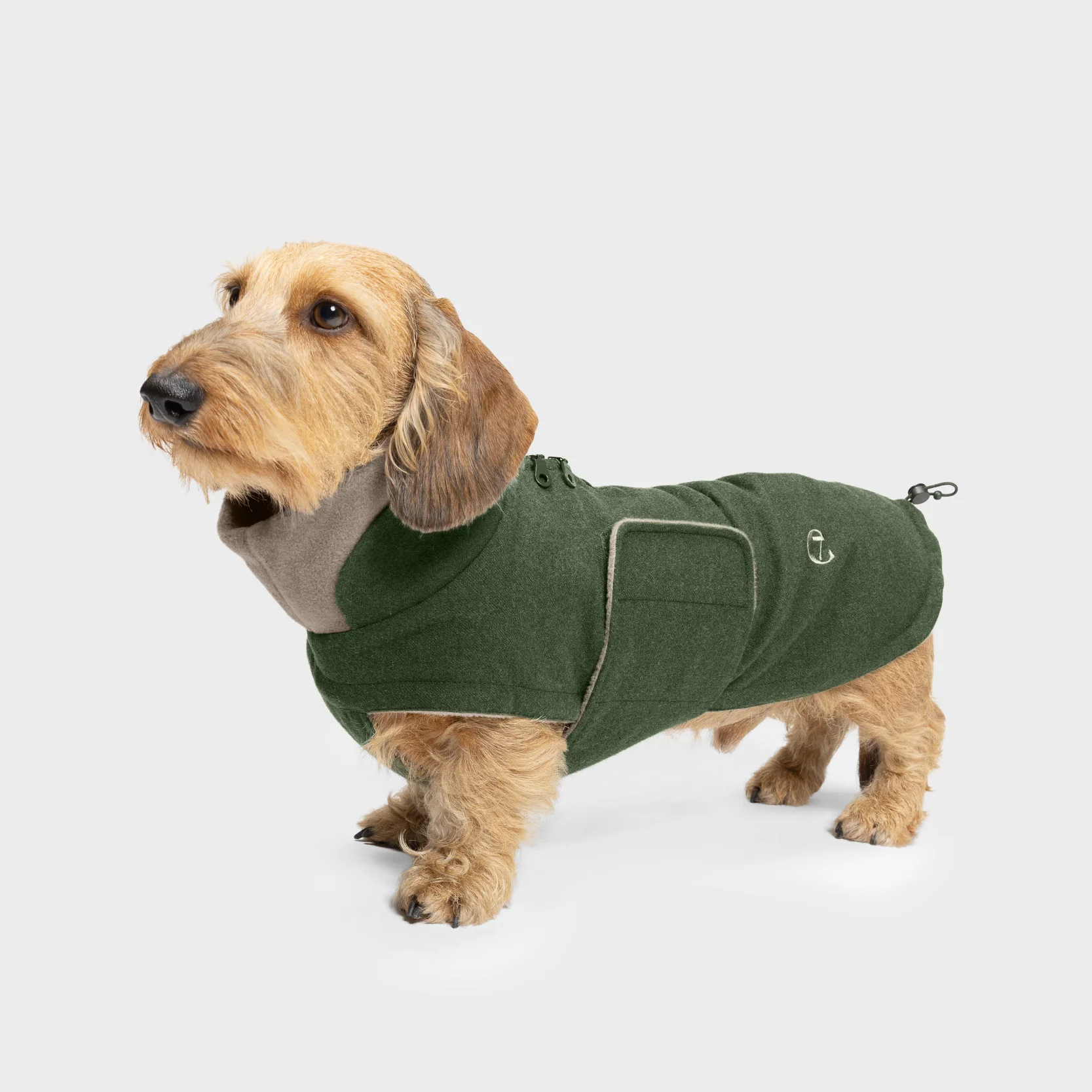 Hundemantel Dackel Brooklyn Flanell Fern Green - Image 3
