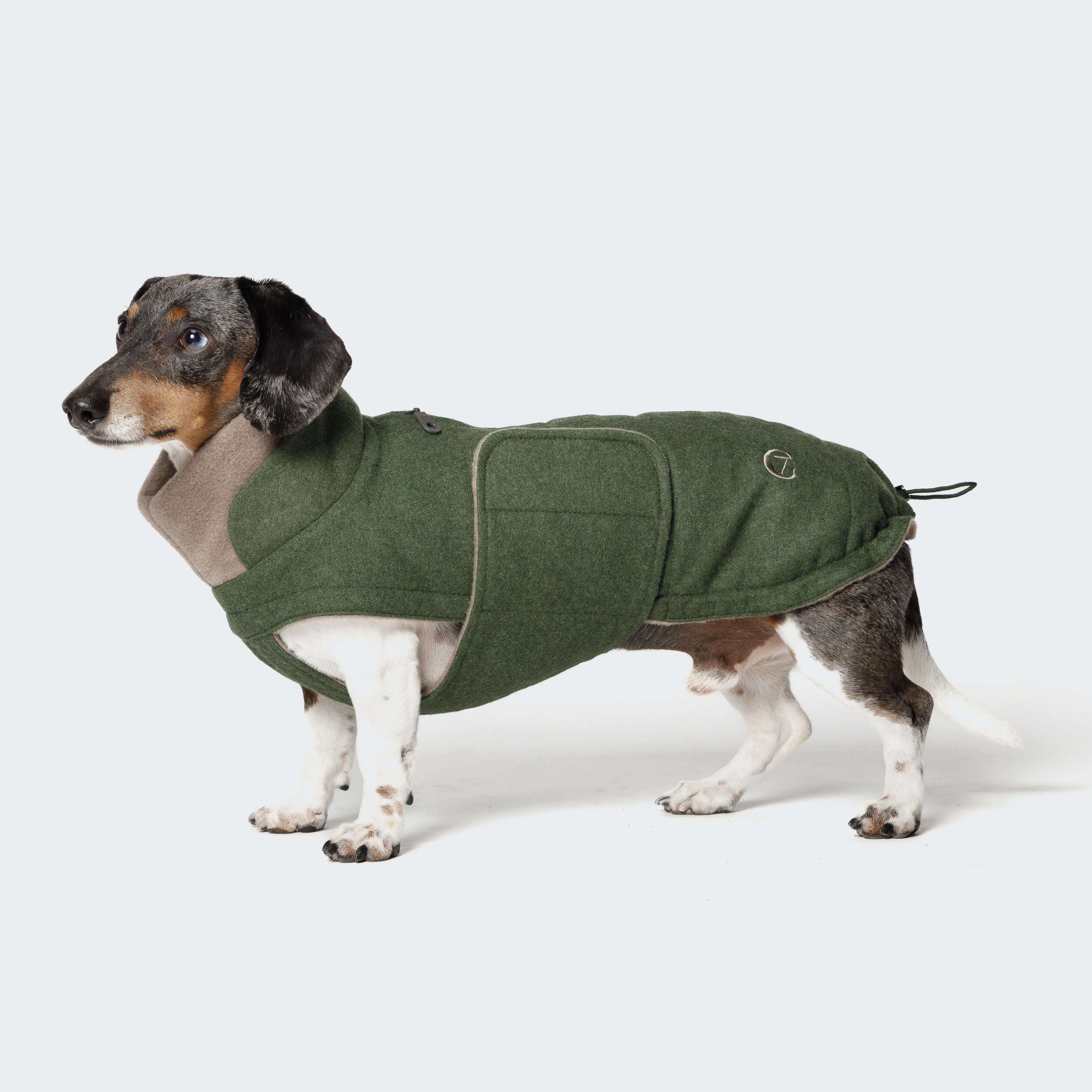 Hundemantel Dackel Brooklyn Flanell Fern Green - Image 8