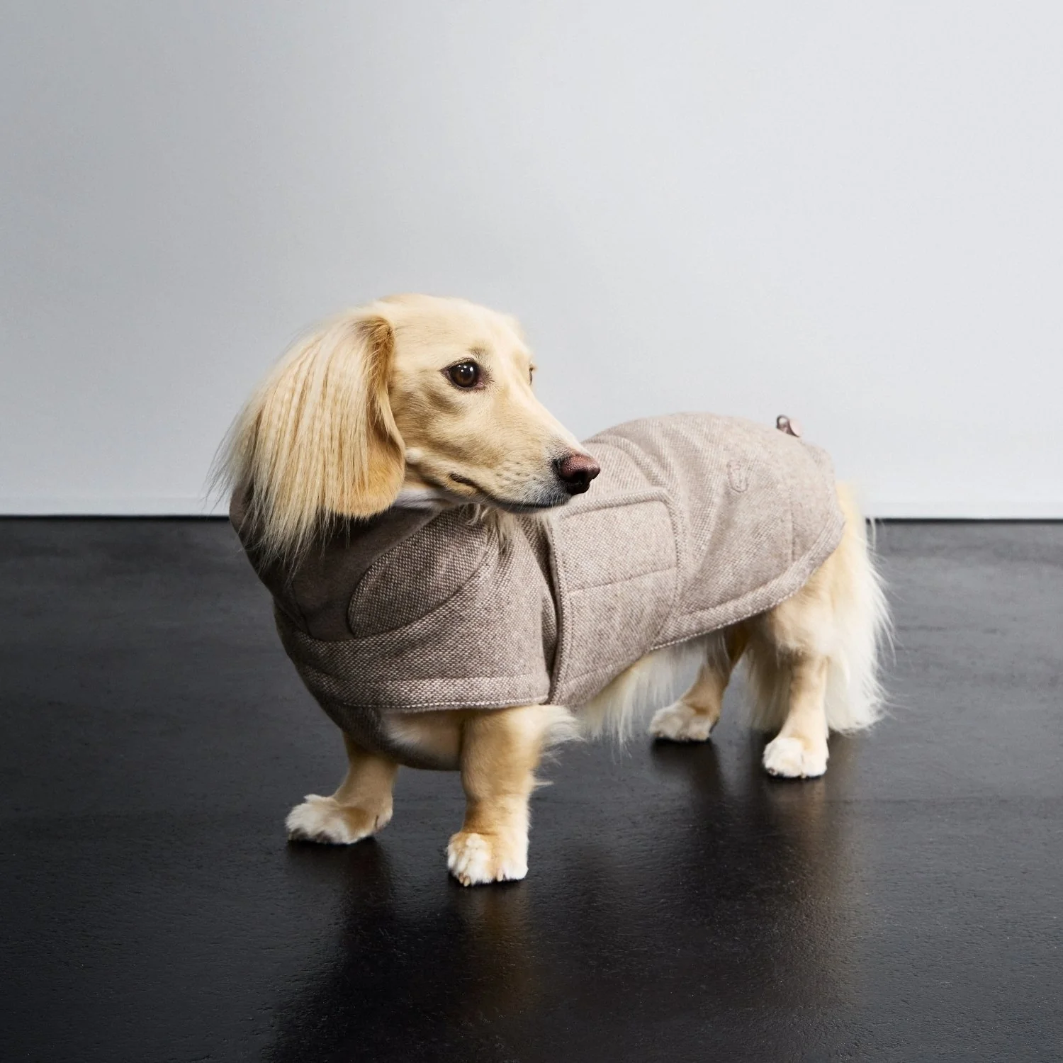 Hundemantel Dackel Brooklyn Tweed Beige - Image 7